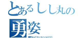 とあるしし丸の勇姿（嗚呼なんてカッコいいんだろう）