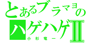 とあるブラマヨのハゲハゲⅡ（小杉竜一）