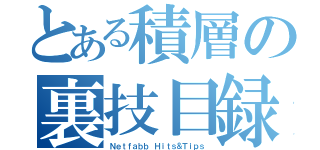 とある積層の裏技目録（Ｎｅｔｆａｂｂ Ｈｉｔｓ＆Ｔｉｐｓ）