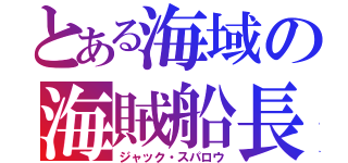 とある海域の海賊船長（ジャック・スパロウ）