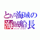 とある海域の海賊船長（ジャック・スパロウ）