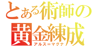 とある術師の黄金練成（アルス＝マグナ）