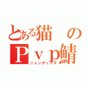 とある猫のＰｖｐ鯖（ニャンデックス）