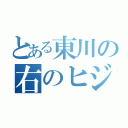 とある東川の右のヒジ（ ）