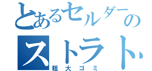 とあるセルダーのストラト（粗大ゴミ）