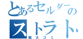 とあるセルダーのストラト（粗大ゴミ）