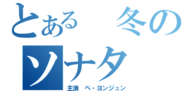 とある　冬のソナタ（主演 ペ・ヨンジュン）