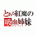 とある紅魔の吸血姉妹（スカーレット）