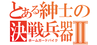 とある紳士の決戦兵器Ⅱ（ホームガードパイク）