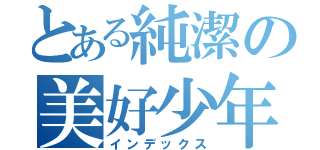 とある純潔の美好少年（インデックス）