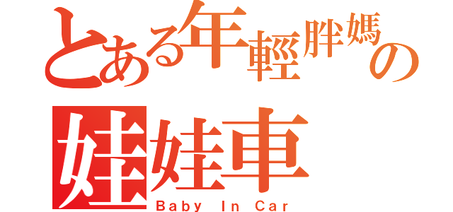 とある年輕胖媽の娃娃車（Ｂａｂｙ Ｉｎ Ｃａｒ）