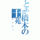 とある橋本の士苑（ハッシー）