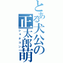 とある犬公の正太郎萌（ショタコン）