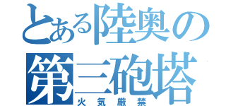 とある陸奥の第三砲塔（火気厳禁）