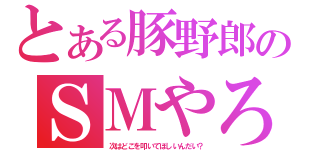 とある豚野郎のＳＭやろう（次はどこを叩いてほしいんだい？）