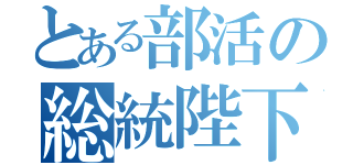 とある部活の総統陛下（）