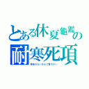 とある休夏龜鑑の耐寒死項（興味のない方もご覧下さい）