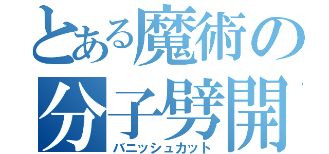 とある魔術の分子劈開（バニッシュカット）