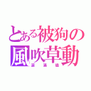 とある被狗の風吹草動（涙滿燼）