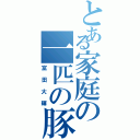 とある家庭の一匹の豚（富田大輝）