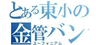 とある東小の金管バンド（ユーフォニアム）