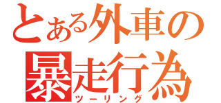 とある外車の暴走行為（ツーリング）