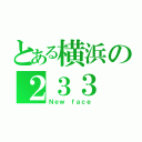 とある横浜の２３３（Ｎｅｗ ｆａｃｅ）