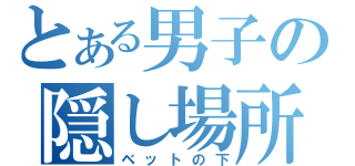 とある男子の隠し場所（ベットの下）