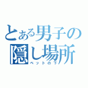 とある男子の隠し場所（ベットの下）