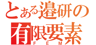 とある邉研の有限要素解析（ＦＥＭ）