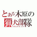 とある木原の猟犬部隊（ハウンドドック）