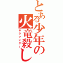 とある少年の火竜殺し（サラマンダー）