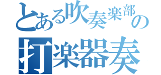 とある吹奏楽部の打楽器奏者（）