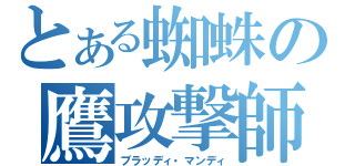 とある蜘蛛の鷹攻撃師（ブラッディ・マンディ）