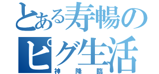 とある寿暢のピグ生活（神降臨）