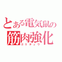 とある電気鼠の筋肉強化（ゴリチュウ）