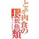 とある肉食の長蛇魚類（ポリプテルス）