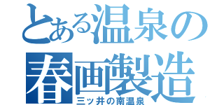 とある温泉の春画製造（三ッ井の南温泉）