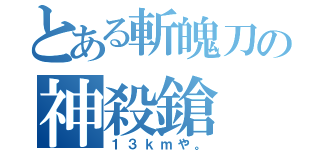 とある斬魄刀の神殺鎗（１３ｋｍや。）