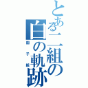 とある二組の白の軌跡（園子組）