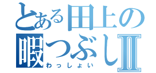 とある田上の暇つぶしⅡ（わっしょい）