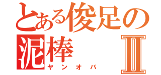 とある俊足の泥棒Ⅱ（ヤンオバ）