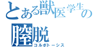 とある獣医学生の膣脱（コルポトーシス）