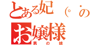 とある妃（。・д・）のお嬢様（男の娘）