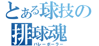 とある球技の排球魂（バレーボーラー）