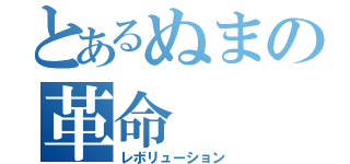 とあるぬまの革命（レボリューション）