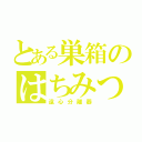 とある巣箱のはちみつ（遠心分離器）