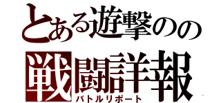 とある遊撃のの戦闘詳報（バトルリポート）