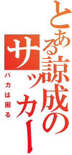 とある諒成のサッカー日記（バカは困る）