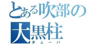 とある吹部の大黒柱（チューバ）